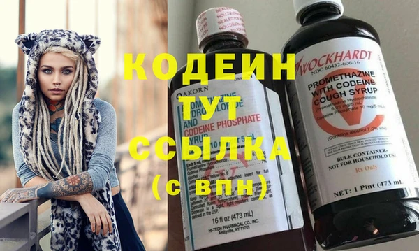 прущие грибы Абаза