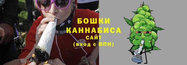 прущие грибы Абаза