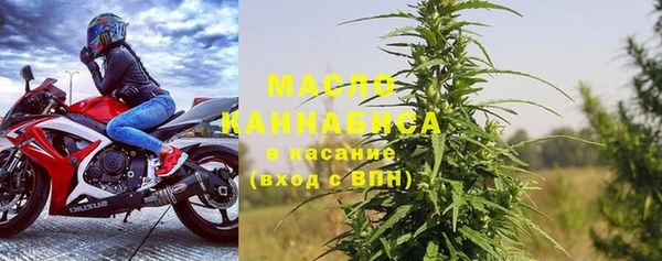 прущие грибы Абаза
