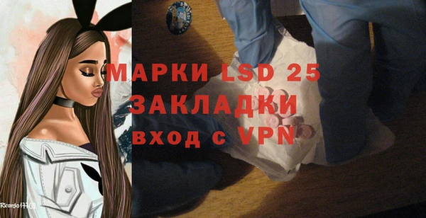 прущие грибы Абаза
