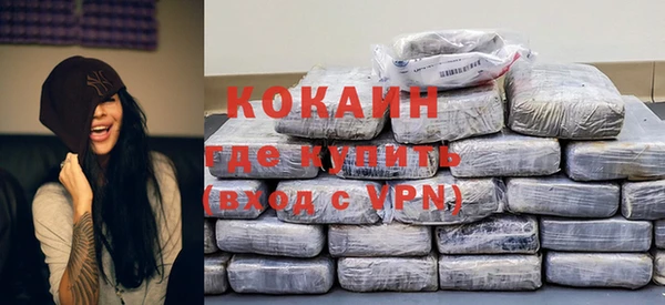 прущие грибы Абаза