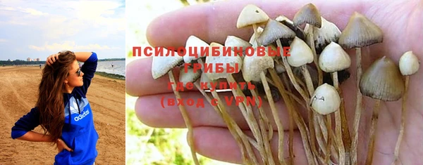 мет Абинск