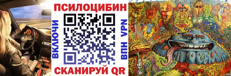 как найти наркотики  Воронеж  Галлюциногенные грибы Psilocybine cubensis 